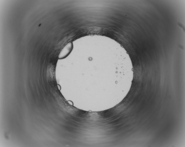 X0000102240287200808221337