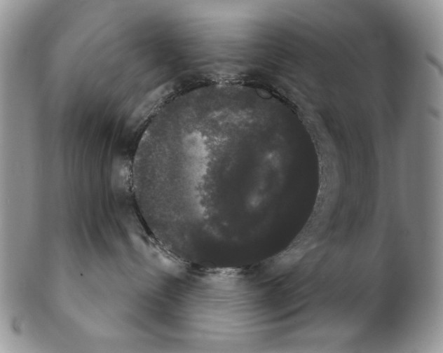 X0000102240288200808221337