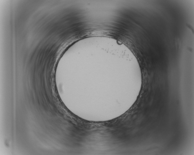 X0000102240289200808221337