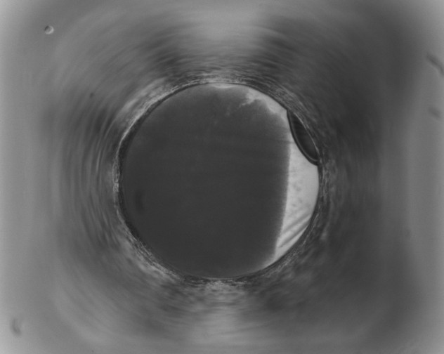 X0000102240290200808221336