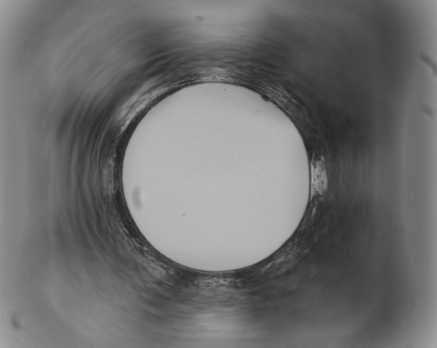 X0000102240291200808221336