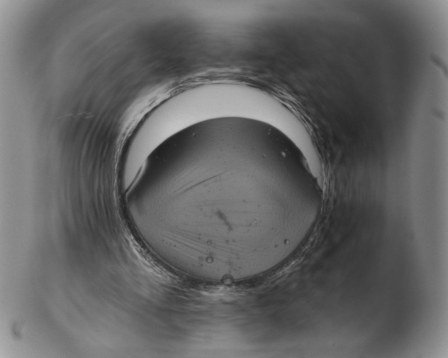 X0000102240293200808221336