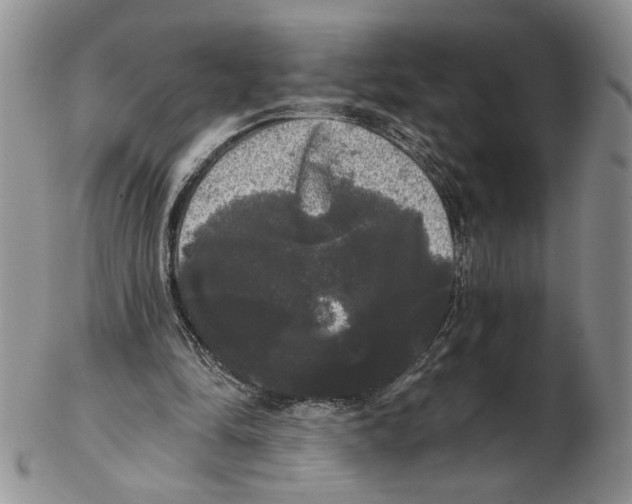 X0000102240294200808221336