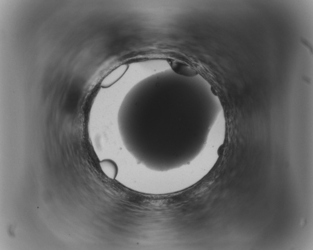 X0000102240295200808221336