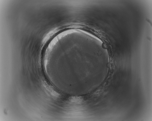 X0000102240296200808221336