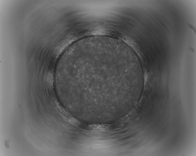 X0000102240297200808221336