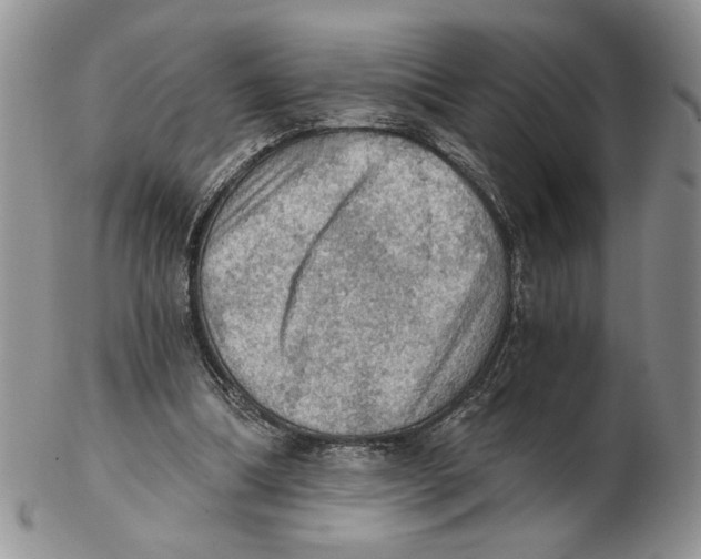 X0000102240298200808221336