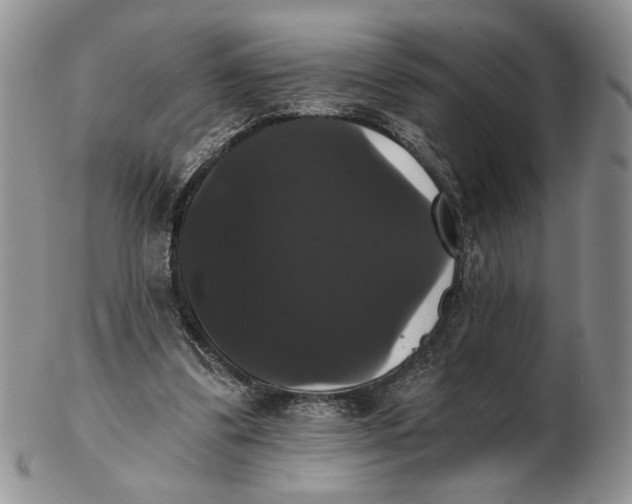 X0000102240299200808221336