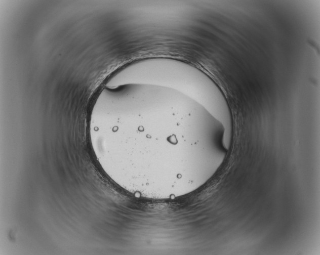 X0000102240301200808221336