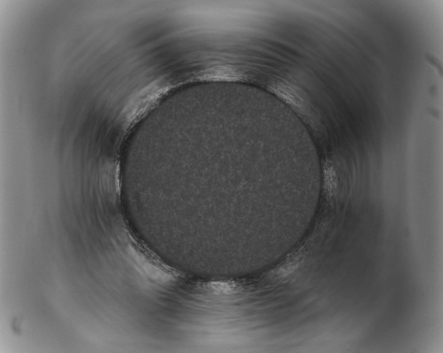 X0000102240302200808221336