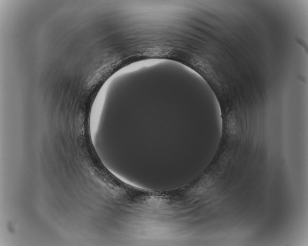 X0000102240303200808221336