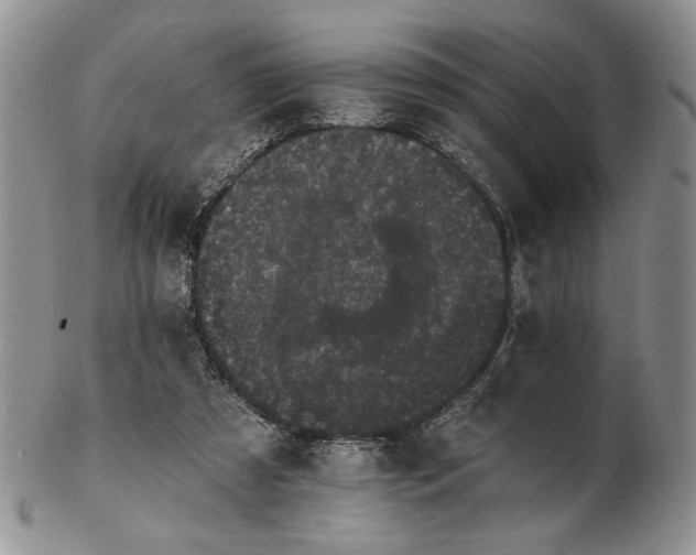 X0000102240305200808221336