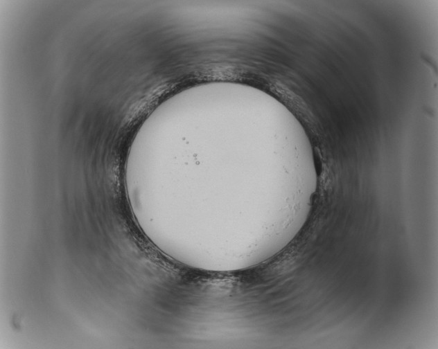 X0000102240306200808221336