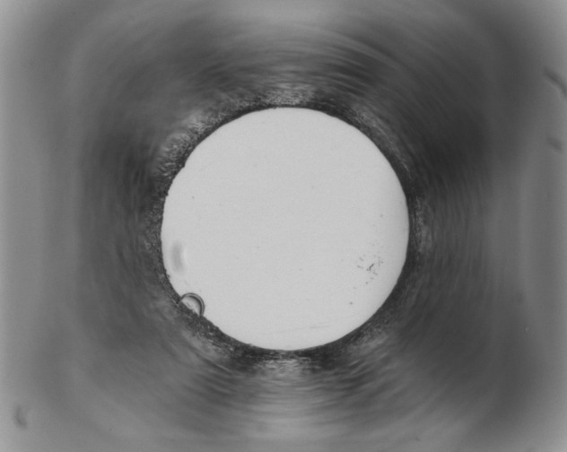 X0000102240307200808221336