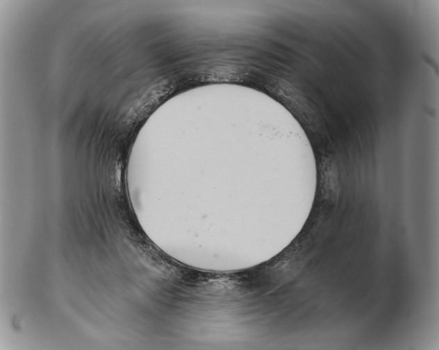 X0000102240310200808221336