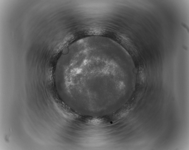 X0000102240312200808221336