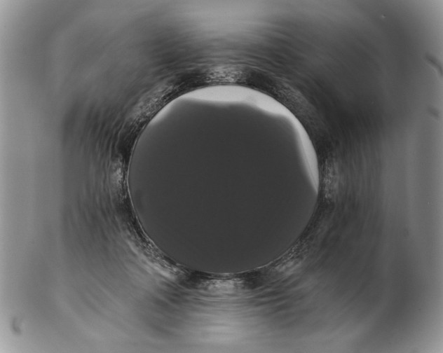 X0000102240314200808221336