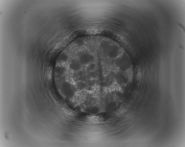 X0000102240315200808221336