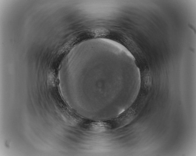 X0000102240316200808221336