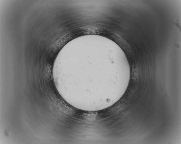 X0000102240318200808221336