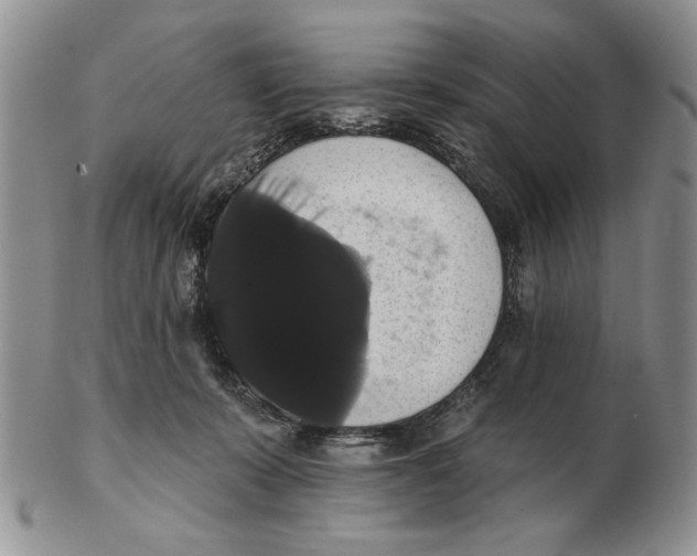 X0000102240319200808221336