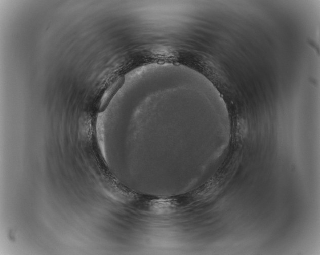 X0000102240320200808221336