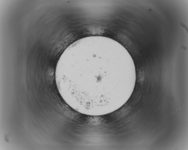 X0000102240321200808221336