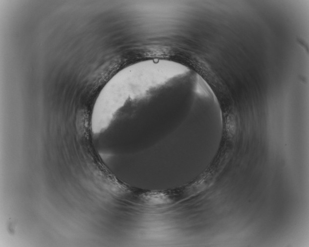 X0000102240322200808221336