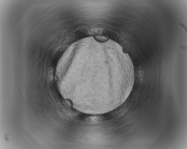 X0000102240323200808221336