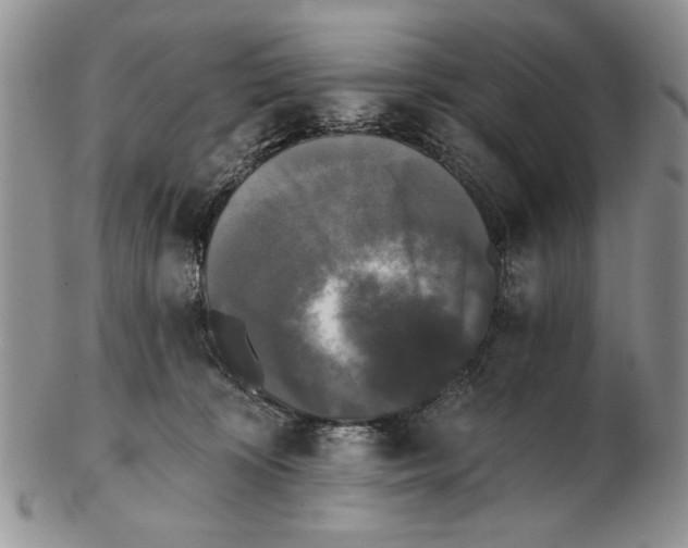 X0000102240324200808221336