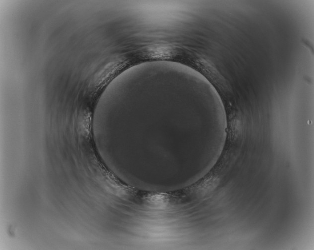 X0000102240325200808221336