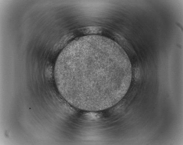 X0000102240326200808221336