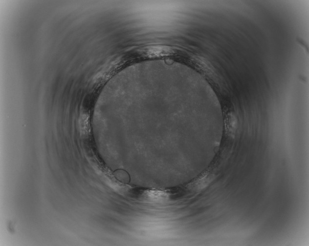 X0000102240327200808221336