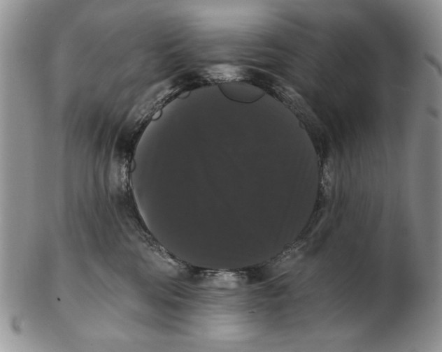 X0000102240330200808221336