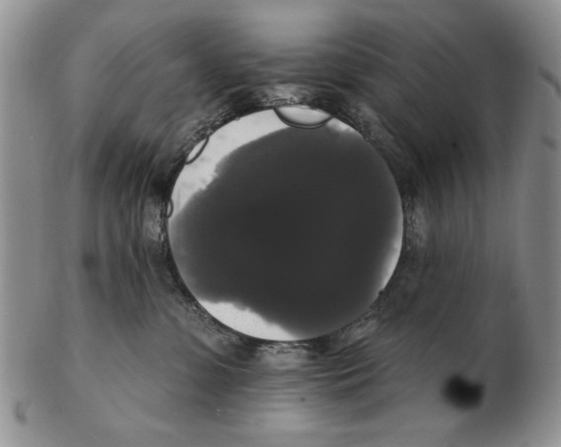 X0000102240331200808221336