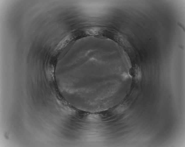 X0000102240332200808221336