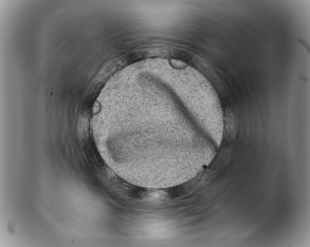 X0000102240333200808221336