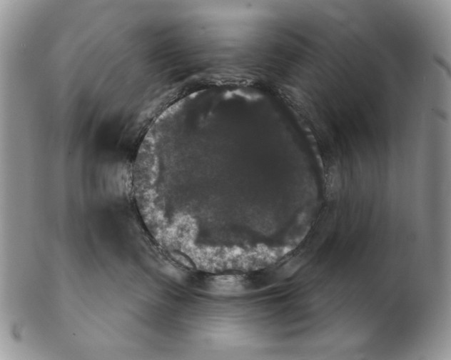 X0000102240335200808221336