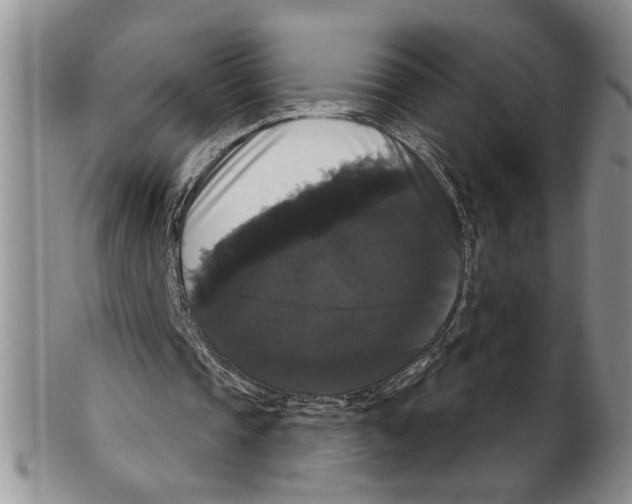 X0000102240337200808221335