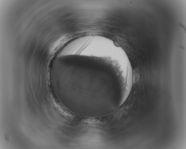 X0000102240339200808221335