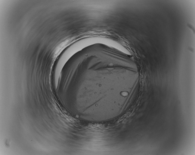 X0000102240340200808221335