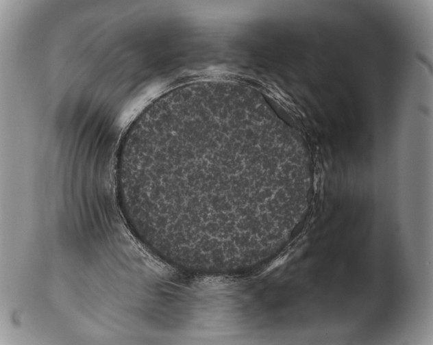 X0000102240341200808221335