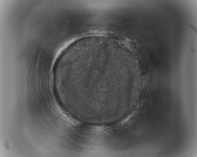 X0000102240342200808221335