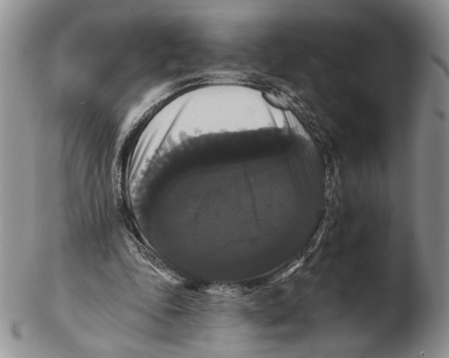 X0000102240343200808221335