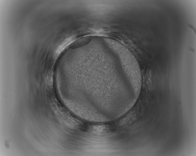 X0000102240344200808221335