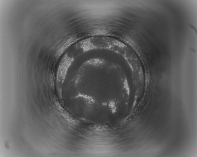 X0000102240345200808221335