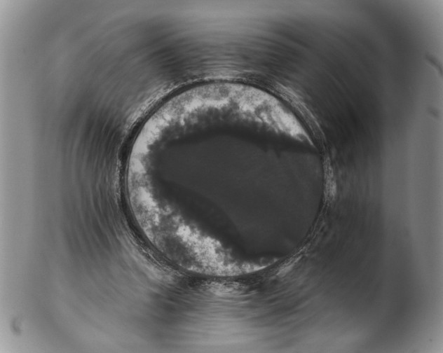 X0000102240346200808221335