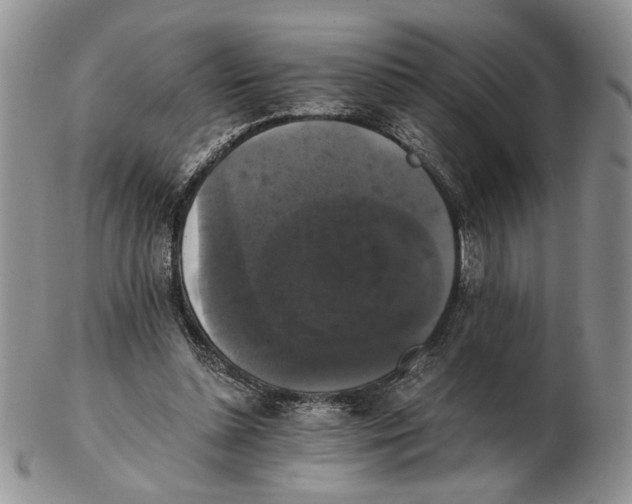 X0000102240348200808221335