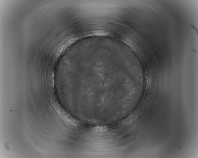 X0000102240350200808221335