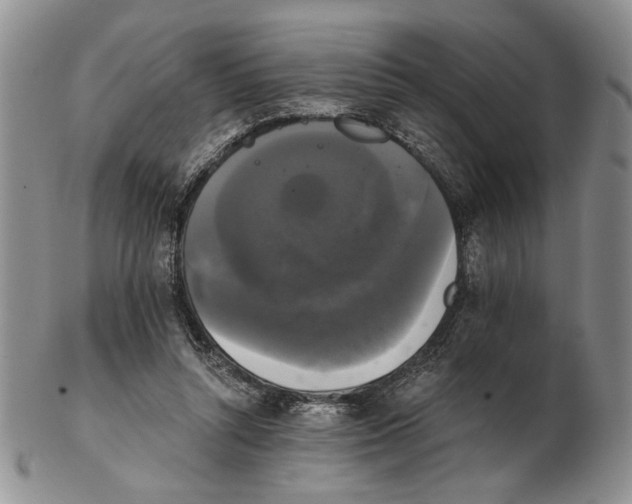 X0000102240352200808221335